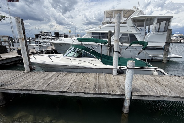 NO NAME 24ft Pursuit Yacht For Sale