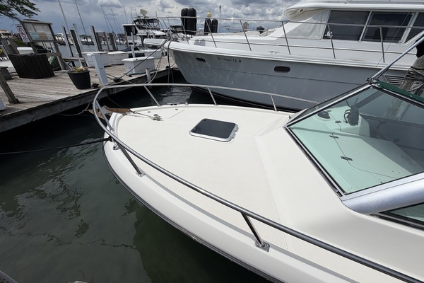 NO NAME 24ft Pursuit Yacht For Sale