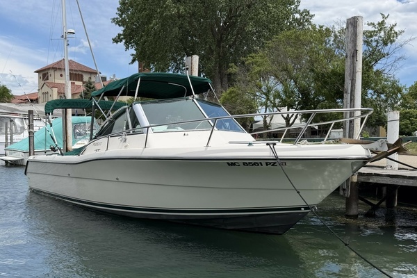 NO NAME 24ft Pursuit Yacht For Sale