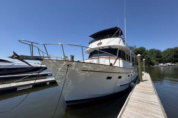 Photo of the 1981 Marine Trader 50