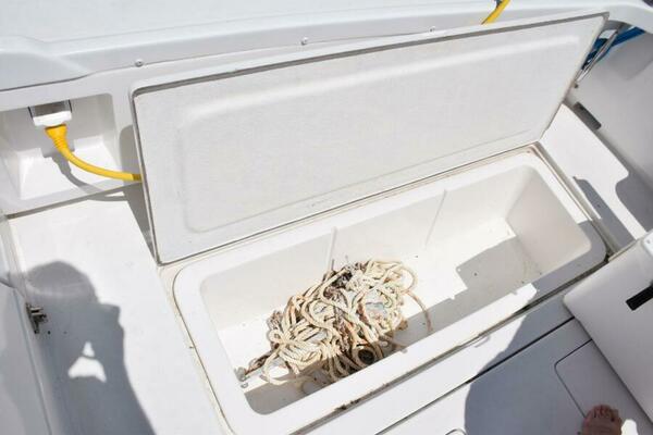 Starboard Underdeck Box With Stern Anchor