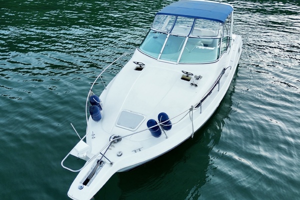 31ft Carver Yacht For Sale