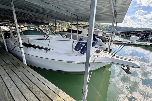 31ft Carver Yacht For Sale