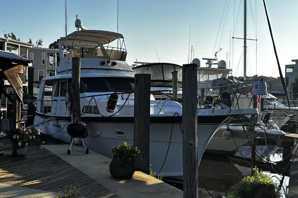 53-ft-Hatteras-1979--CURRENSEA Mandeville  Louisiana United States  yacht for sale