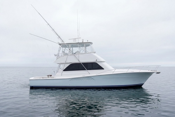 2000 Viking 50