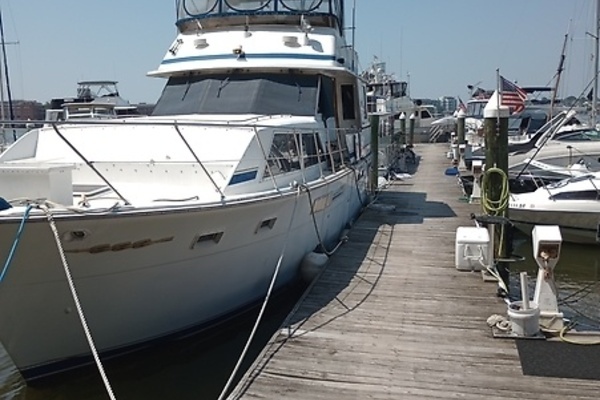 Photo of the 1986 Chris-Craft Constellation 500 "Dreamin Aweigh"