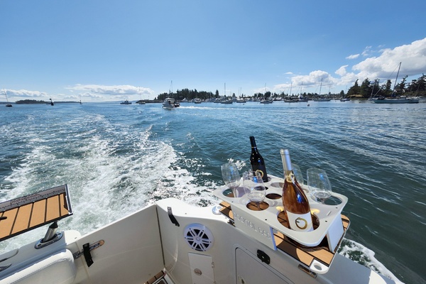 CHEERS 27ft Sea Ray Yacht For Sale
