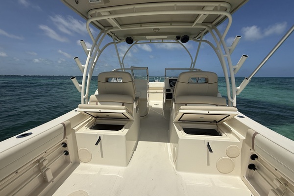 25ft World Cat Yacht For Sale