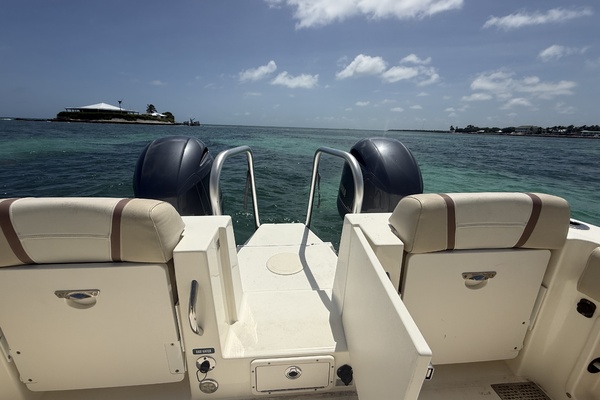 25ft World Cat Yacht For Sale