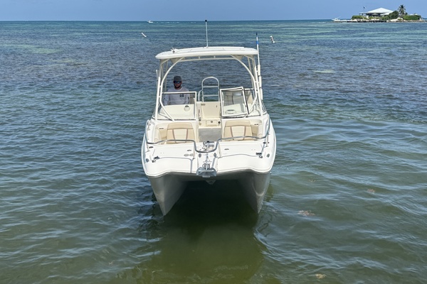 25ft World Cat Yacht For Sale