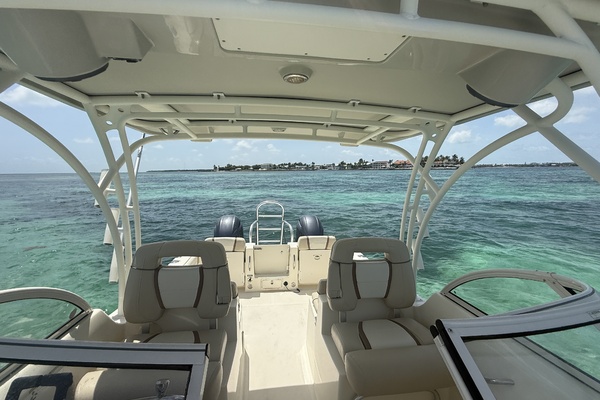 25ft World Cat Yacht For Sale