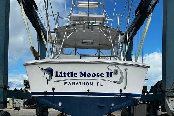 25ft World Cat Yacht For Sale