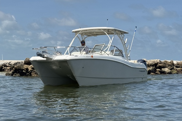 25ft World Cat Yacht For Sale