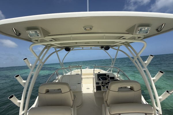 25ft World Cat Yacht For Sale