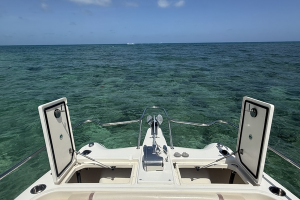 25ft World Cat Yacht For Sale