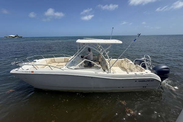 25ft World Cat Yacht For Sale