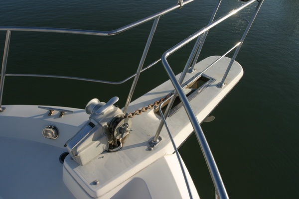 New Chapter 42ft Carver Yacht For Sale