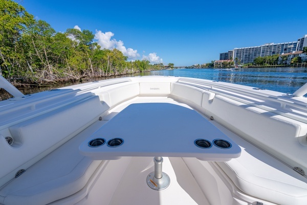 2019 Everglades 35
