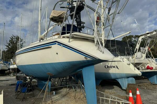 Caribbean Dream 45ft Morgan Yacht For Sale