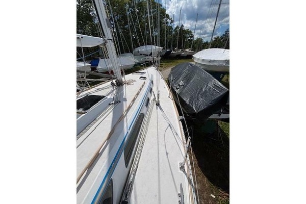 Blue Sky 40ft Sabre Yacht For Sale
