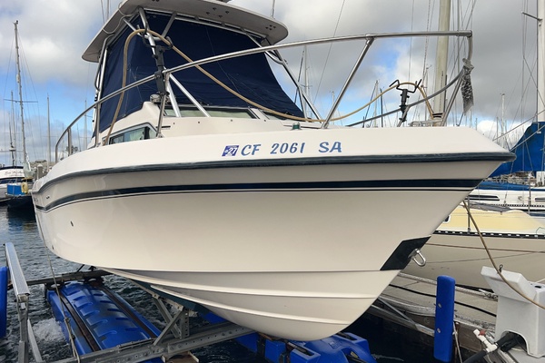 no name 23ft Grady White Yacht For Sale