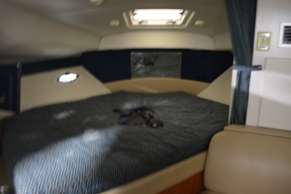 Lady G 30ft Bayliner Yacht For Sale