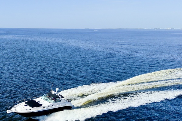 Bearacuda 45ft Sea Ray Yacht For Sale