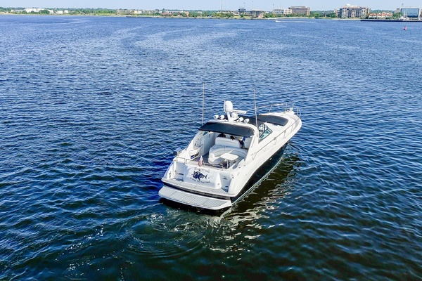 Bearacuda 45ft Sea Ray Yacht For Sale