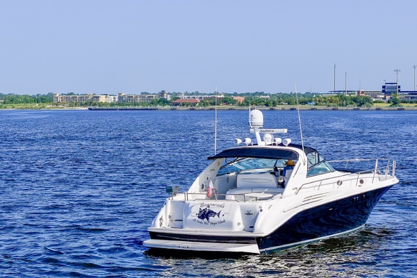Bearacuda 45ft Sea Ray Yacht For Sale