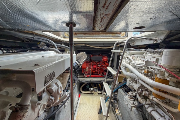 Bearacuda 45ft Sea Ray Yacht For Sale