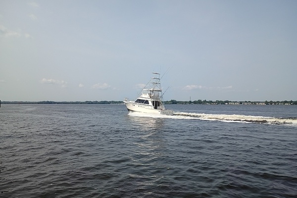 Sleigh Bells 42ft Bertram Yacht For Sale