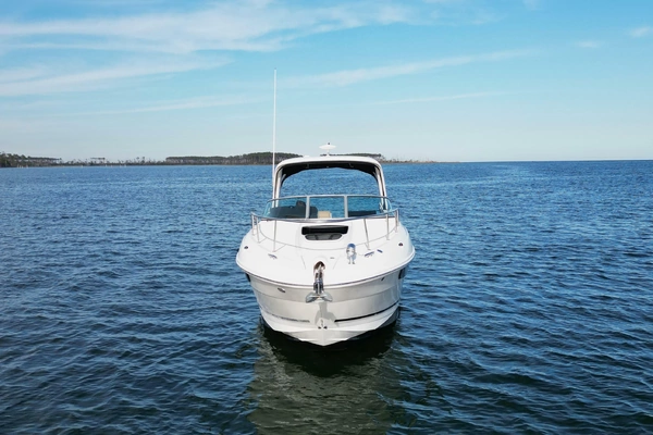 Photo of the 2016 Sea Ray Sundancer 310