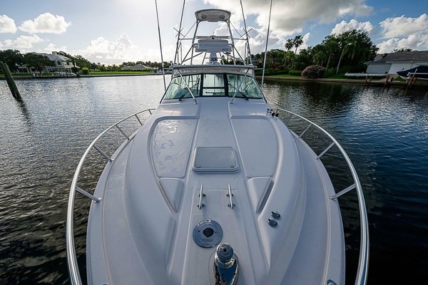 2008 Bertram 36