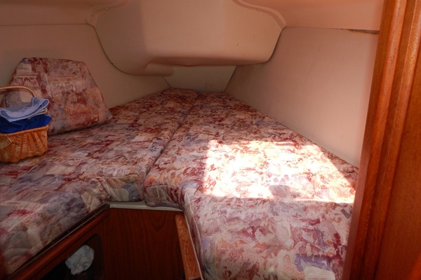 Boy On A Dolphin 34ft Hunter Yacht For Sale