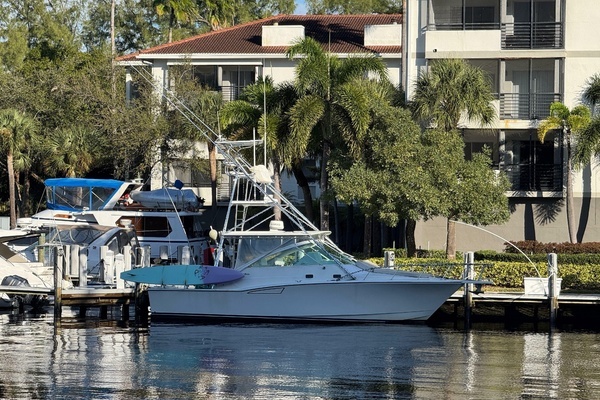 Photo of the 2001 Cabo 35 Express "Island Oasis"