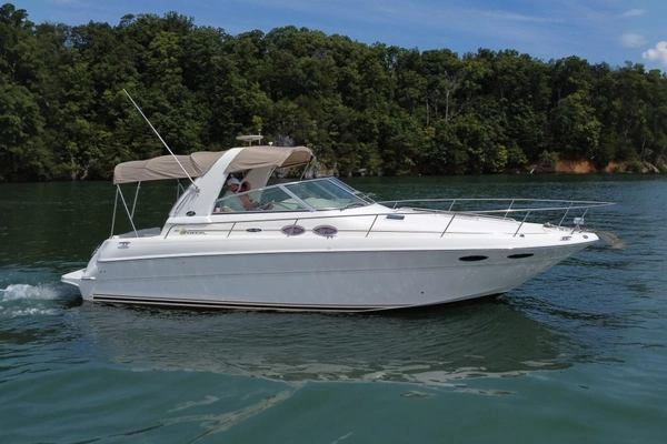 Photo of the 2001 Sea Ray Sundancer 310
