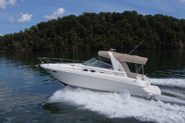 Photo of the 2001 Sea Ray Sundancer 310