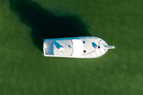 Miss Scarlett 50ft Viking Yacht For Sale