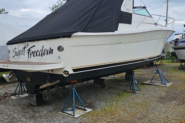 33ft Sea Ray Yacht For Sale