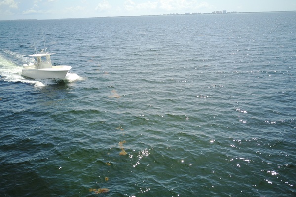 2023 SeaVee 29