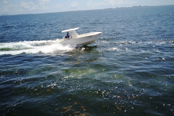 2023 SeaVee 29