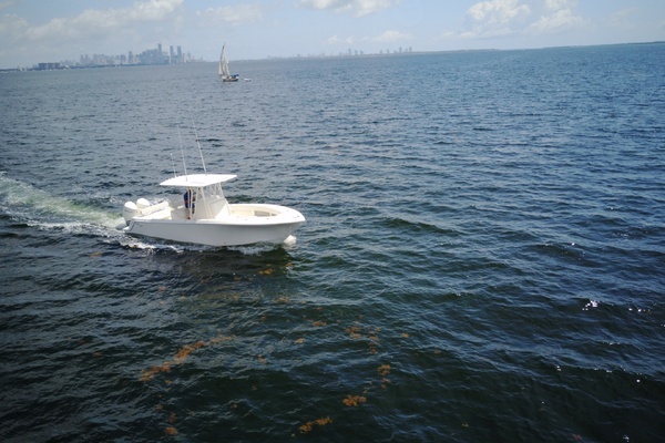 2023 SeaVee 29