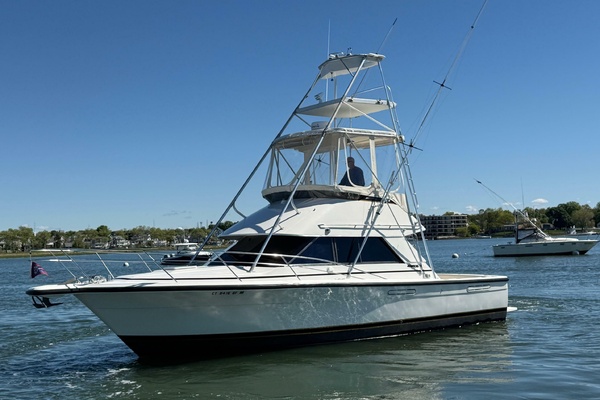 33ft Phoenix Yacht For Sale