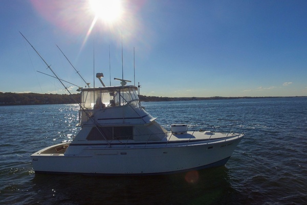 42ft Bertram Yacht For Sale