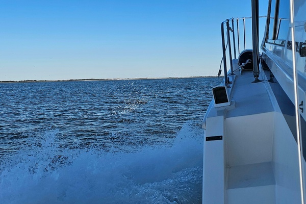 42ft Bertram Yacht For Sale