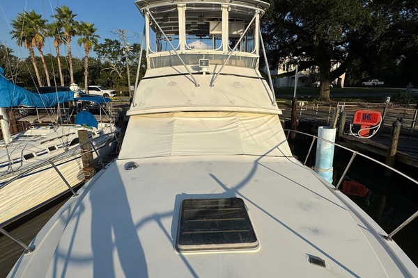 Fisha Tractor 38ft Bertram Yacht For Sale