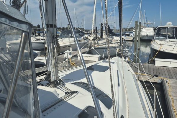 Paws  amp  Chill 42ft Hunter Yacht For Sale
