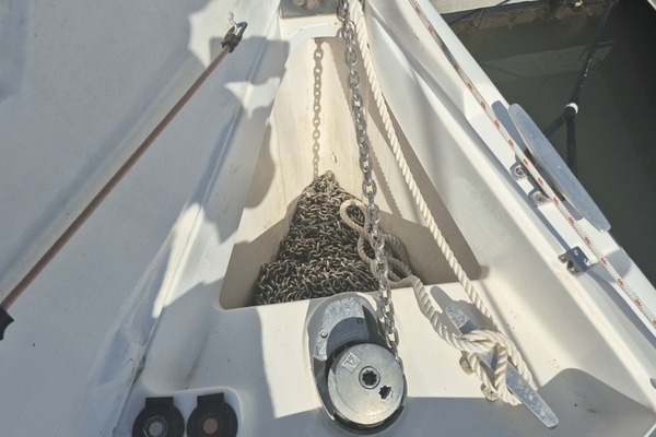 Paws  amp  Chill 42ft Hunter Yacht For Sale