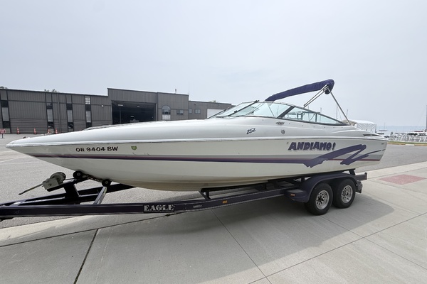 Andiamo 25ft Baja Yacht For Sale