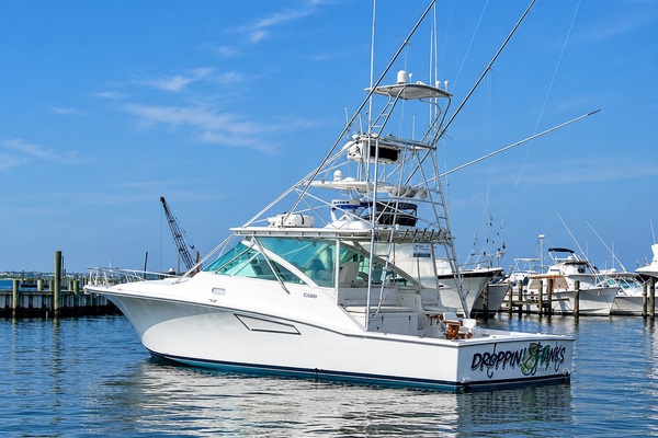 Dropping Lines 40ft Cabo Yacht For Sale